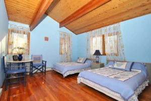 53dff5f0 a320 4143 b5c5 3fe975881621